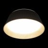 Светильник потолочный Loft It Evans 10224 Black