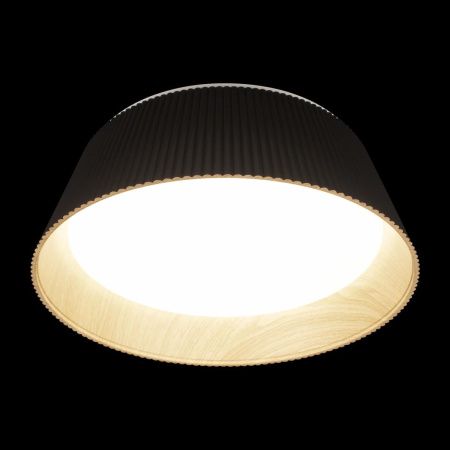 Светильник потолочный Loft It Evans 10224 Black