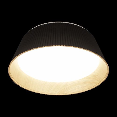 Светильник потолочный Loft It Evans 10224 Black - фото 4