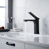 Смеситель Shevanik S4601H на раковину черный