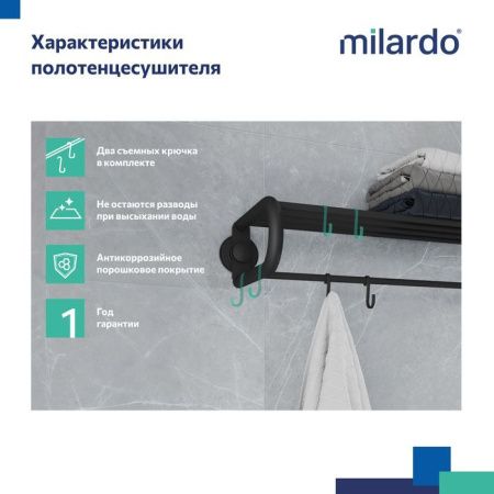 Полка в ванную комнату Milardo Easy EASBWS2M49
