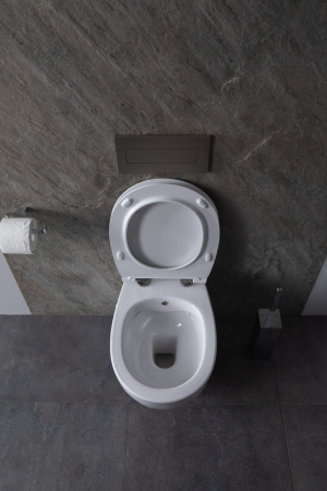 Чаша унитаза подвесная Allen Brau Fantasy 4.11HC1.20 цвет белый без сиденья безободковая каскадный смыв