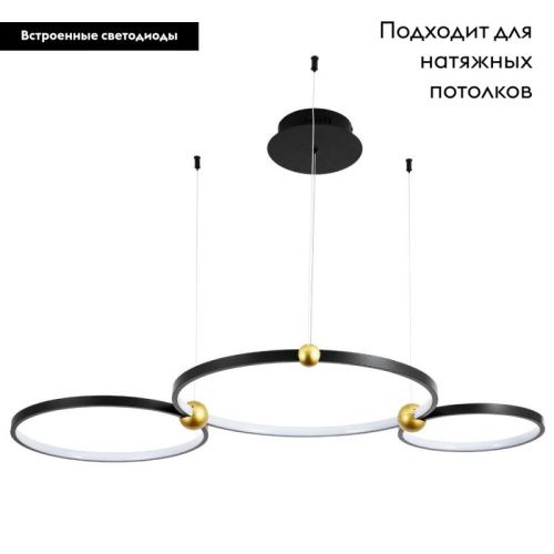 Светильник подвесной Divinare Amadeo (Амадео) 1123/04 SP-75 - фото 2