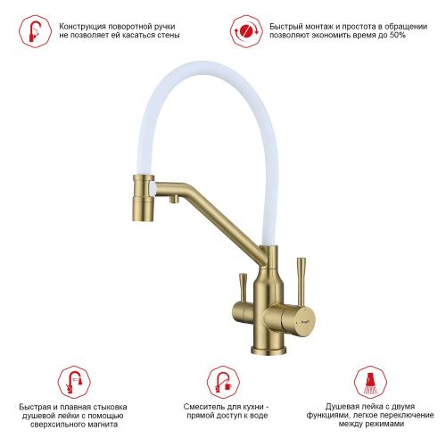 Смеситель для кухни Raglo R81 R81.62.03 на мойку золото - фото 3