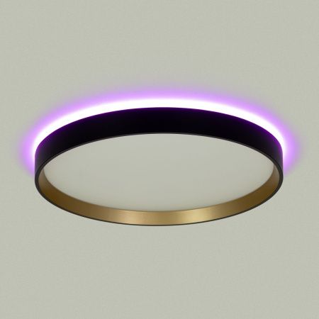 Светильник потолочный музыкальный Citilux Etalon (Еталон) CL750321R