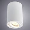 Светильник потолочный Arte Lamp Sentry (Сентры) A1560PL-1WH