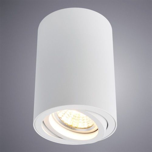 Светильник потолочный Arte Lamp Sentry (Сентры) A1560PL-1WH - фото 3