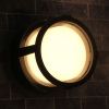 Уличный потолочный светильник Arte Lamp Ulysses (Улыссес) A6206PF-1BK