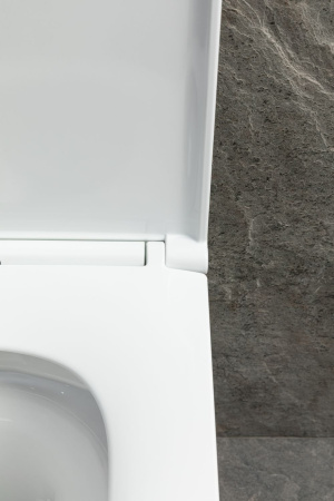 Чаша унитаза подвесная Allen Brau Priority Tornado 4.31009.20 цвет белый без сиденья безободковая душевой смыв