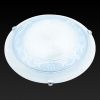 Настенно-потолочный светильник Toplight Elizabeth (Елизабетх) TL9091Y-02BL