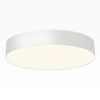 Светильник накладной Citilux Bart (Барт) CL755390