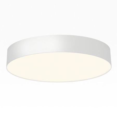 Светильник накладной Citilux Bart (Барт) CL755390