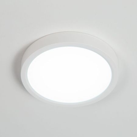 Светильник накладной Citilux Бейсик CL738120N