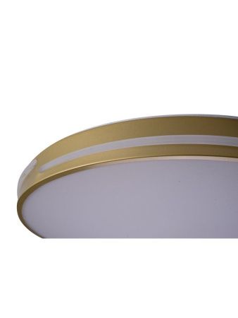 Светильник потолочный Zortes Gabby (Габбы) ZRS.90610.50