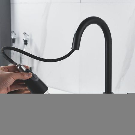 Смеситель для кухни Raffine F213H на мойку черный