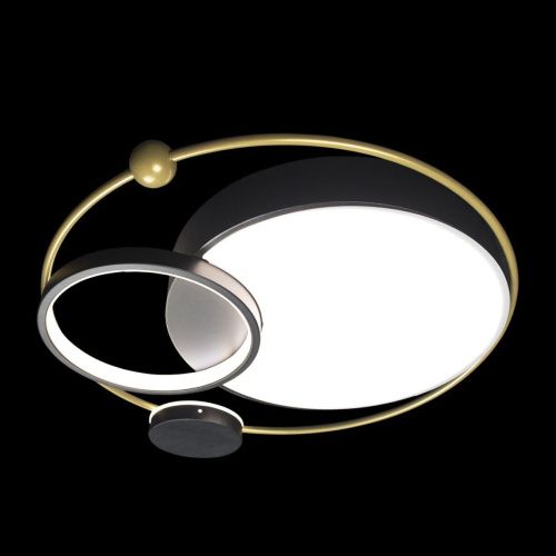 Светильник потолочный Loft It Mike 10064 - фото 4