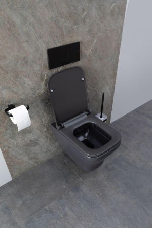 Чаша унитаза подвесная Allen Brau Infinity 4.21011.AN цвет черный без сиденья безободковая каскадный смыв