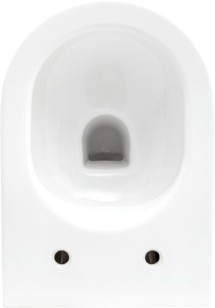 Чаша унитаза подвесная Allen Brau Reality 4.32006.20 цвет белый без сиденья безободковая каскадный смыв