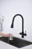 Смеситель для кухни Paulmark LANGE La214212-AN на мойку черный