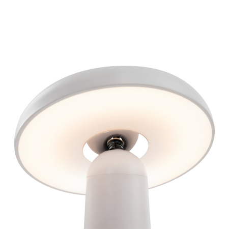 Настольная лампа Freya Mushroom (Гриб) FR6109TL-L4W