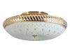 Светильник накладной Toplight Loreen (Лореен) TL1492Y-05GC