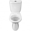 Унитаз-компакт напольный с бачком Santek Анимо 1WH110032 белый с сиденьем каскадный смыв
