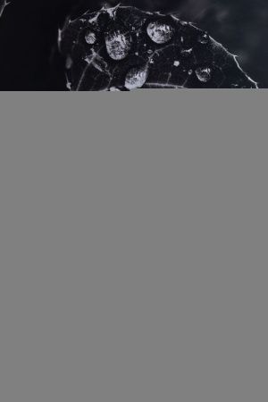 Раковина керамическая Allen Brau Fantasy 4.11022.IV 60х40 накладная цвет бежевый без отверстий под смеситель