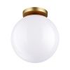 Светильник потолочный Odeon Light Bosco (Босцо) 4248/1C