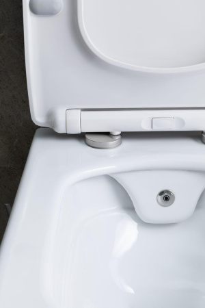 Чаша унитаза подвесная Allen Brau Liberty 4.33009.20 цвет белый без сиденья безободковая каскадный смыв