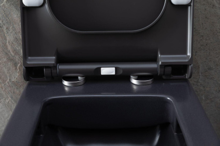 Чаша унитаза подвесная Allen Brau Infinity 4.21011.AN цвет черный без сиденья безободковая каскадный смыв