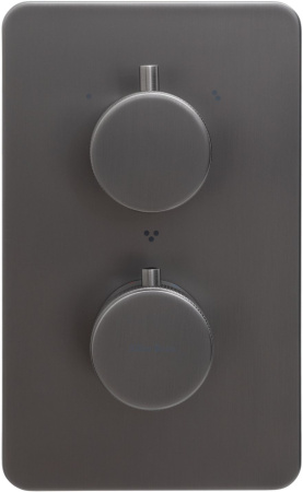 Смеситель для ванны с душем Allen Brau Priority 5.31314-MG встраиваемый в стену серый с термостатом