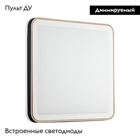 Настенно-потолочный светильник Sonex Akuna (Акуна) 7621/DL