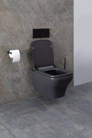 Чаша унитаза подвесная Allen Brau Infinity 4.21011.AN цвет черный без сиденья безободковая каскадный смыв