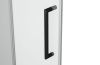 Душевая дверь Bravat Blackline BD120.4101B 120х200 стекло прозрачное профиль черный