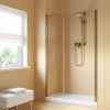 Душевая дверь Vegas-Glass EP-F-2 LUX EP-F-2 LUX 145 05 crystalvision R 145х200 стекло прозрачное профиль бронза