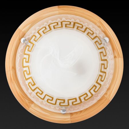 Светильник настенный Toplight Gien (Гиен) TL9173Y-02PN