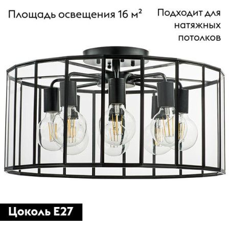 Люстра потолочная Lightstar Genni (Генни) 798287