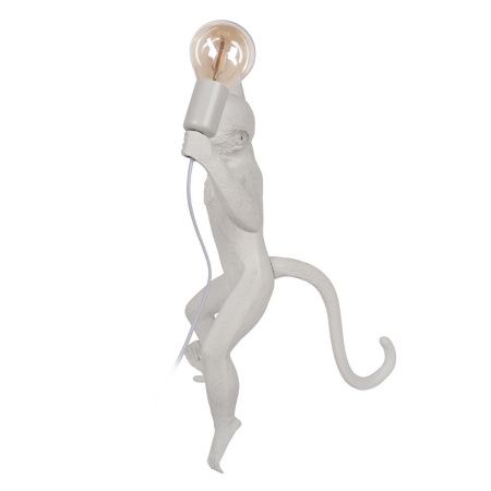 Светильник настенный Loft It Monkey 10314W/B