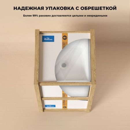 Раковина акриловая Wellsee Pure BY Wellsee 230716000 50х50 напольная цвет белый/черный 1 отверстие под смеситель