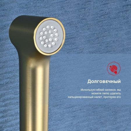 Гигиенический душ со смесителем Raglo R03 R03.51.03 золото