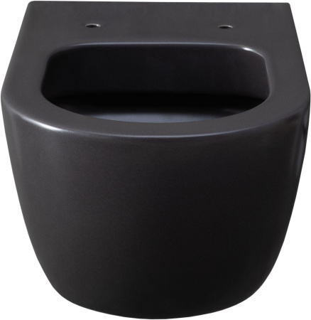 Чаша унитаза подвесная Allen Brau Priority 4.31001.AN цвет черный без сиденья безободковая каскадный смыв