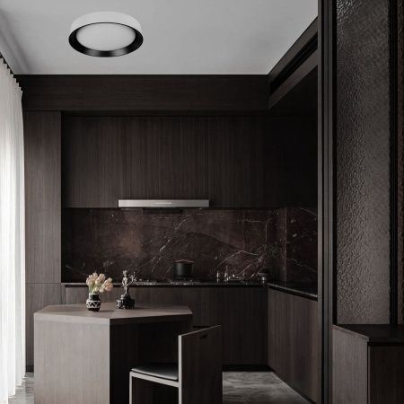 Светильник потолочный Loft It Coin 10202 WB