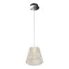 Светильник подвесной iLedex Flora (Флора) WD8007-1 CR