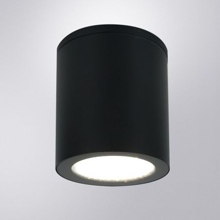 Уличный потолочный светильник Arte Lamp Torcular (Торцулар) A1313PF-1BK