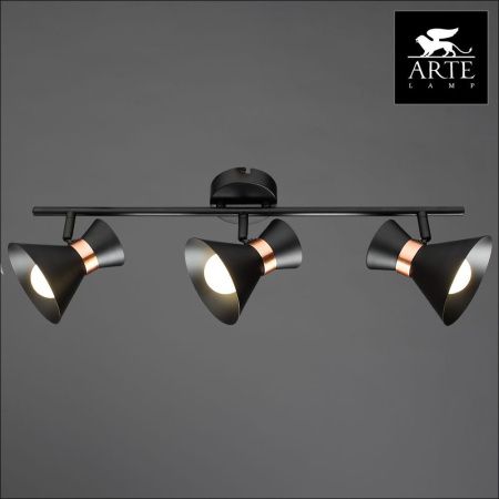 Спот Arte Lamp Baltimore (Балтиморе) A1406PL-3BK