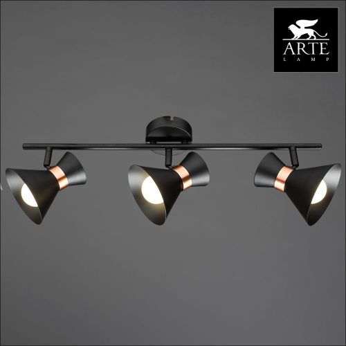 Спот Arte Lamp Baltimore (Балтиморе) A1406PL-3BK - фото 3
