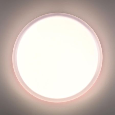 Настенно-потолочный светильник Sonex Pale (Пале) 7776/DLN
