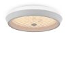 Светильник потолочный Freya Cells (Элементы) FR10012CL-L24W