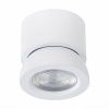 Спот светодиодный ST Luce ST654 ST654.542.10