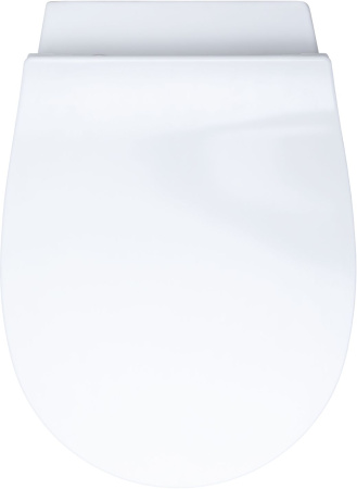 Чаша унитаза подвесная Allen Brau Fantasy 4.11HC1.20 цвет белый без сиденья безободковая каскадный смыв